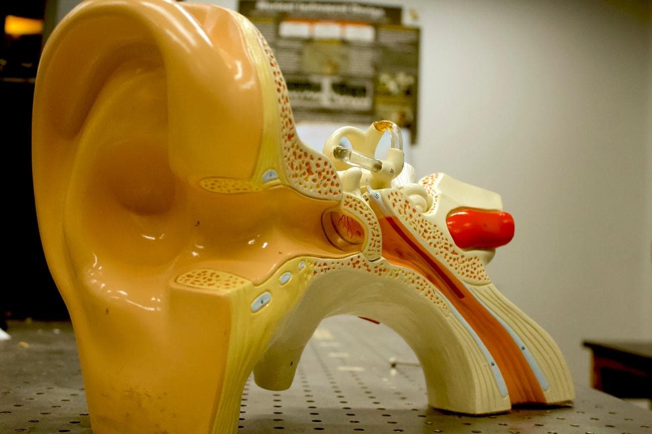 , Μέσα σε ένα δωμάτιο χωρίς ηχώ, TechWar.gr