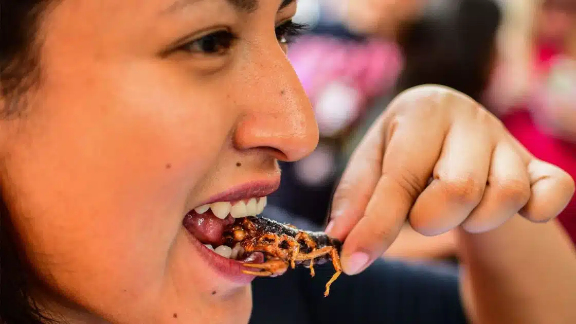 Η κατανάλωση εντόμων μπορεί να ωφελεί το μεταβολισμό μας