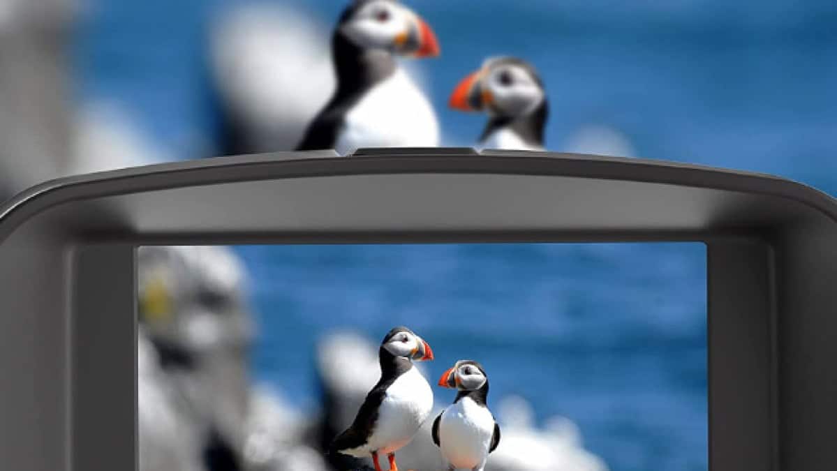 Καλύτερη προσφορά τεχνολογίας: Mini κιάλια νυχτερινής όρασης για 100 $
