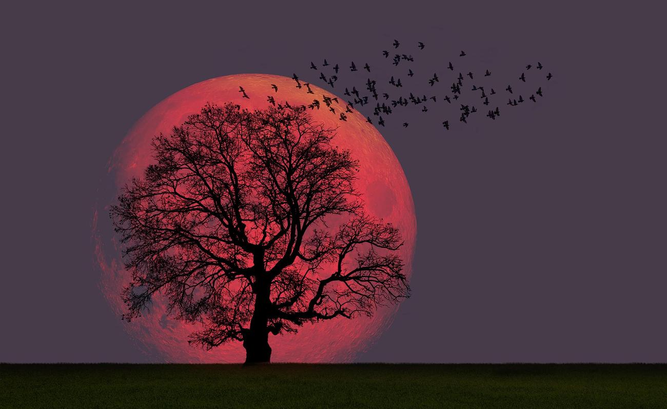 Μην χάσετε το τελευταίο supermoon του 2023 αυτή την εβδομάδα