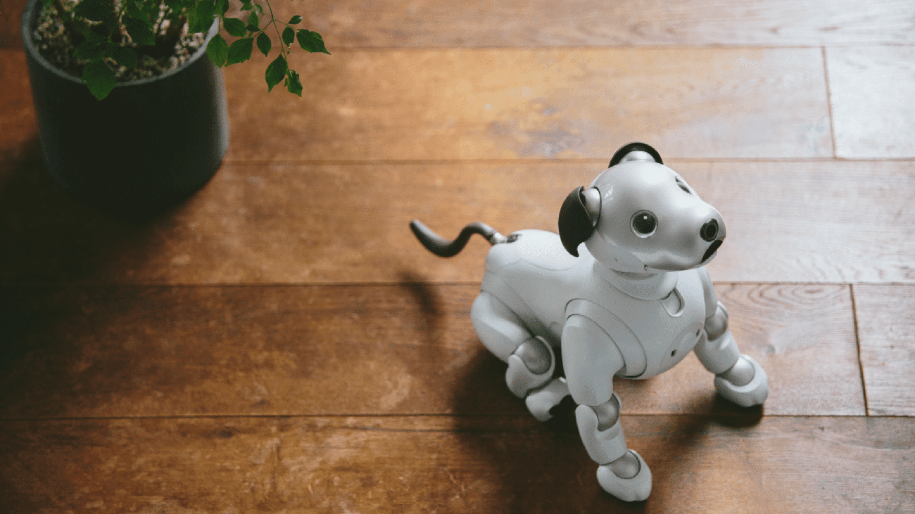 Οι ιδιοκτήτες Aibo μπορούν να ανακυκλώσουν τα γερασμένα ρομποτικά σκυλιά τους χάρη στο νέο πρόγραμμα υιοθεσίας της Sony