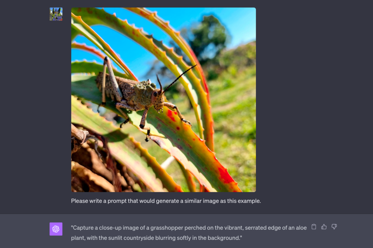 Το ChatGPT επιχειρεί να γράψει μια προτροπή που θα είχε ως αποτέλεσμα παρόμοια εικόνα με το παράδειγμα