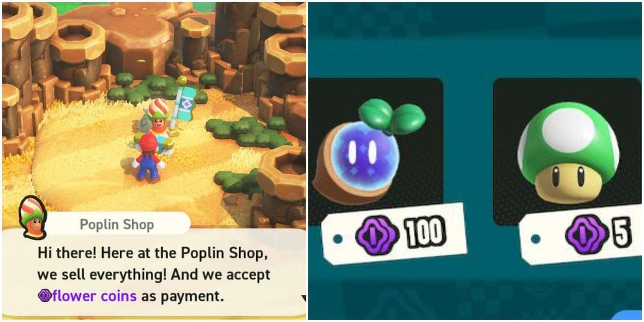 επίσκεψη σε ένα κατάστημα ποπλίνων