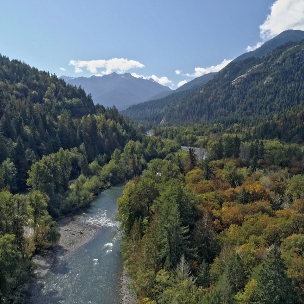 ΕΡΤ2: «Η επιστροφή της άγριας φύσης» - Digitaltvinfo.gr