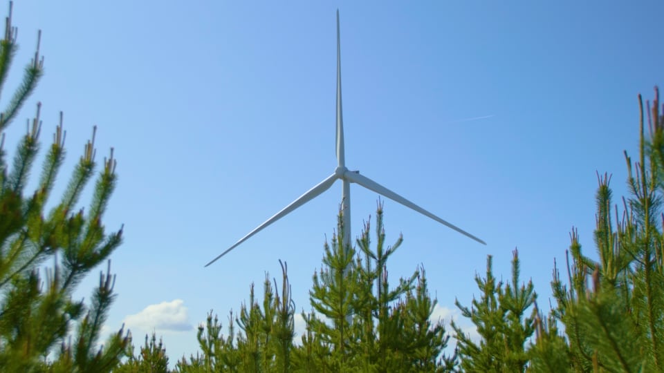 Η Amazon δημιουργεί το πρώτο ηλιακό της πάρκο στην Ελλάδα