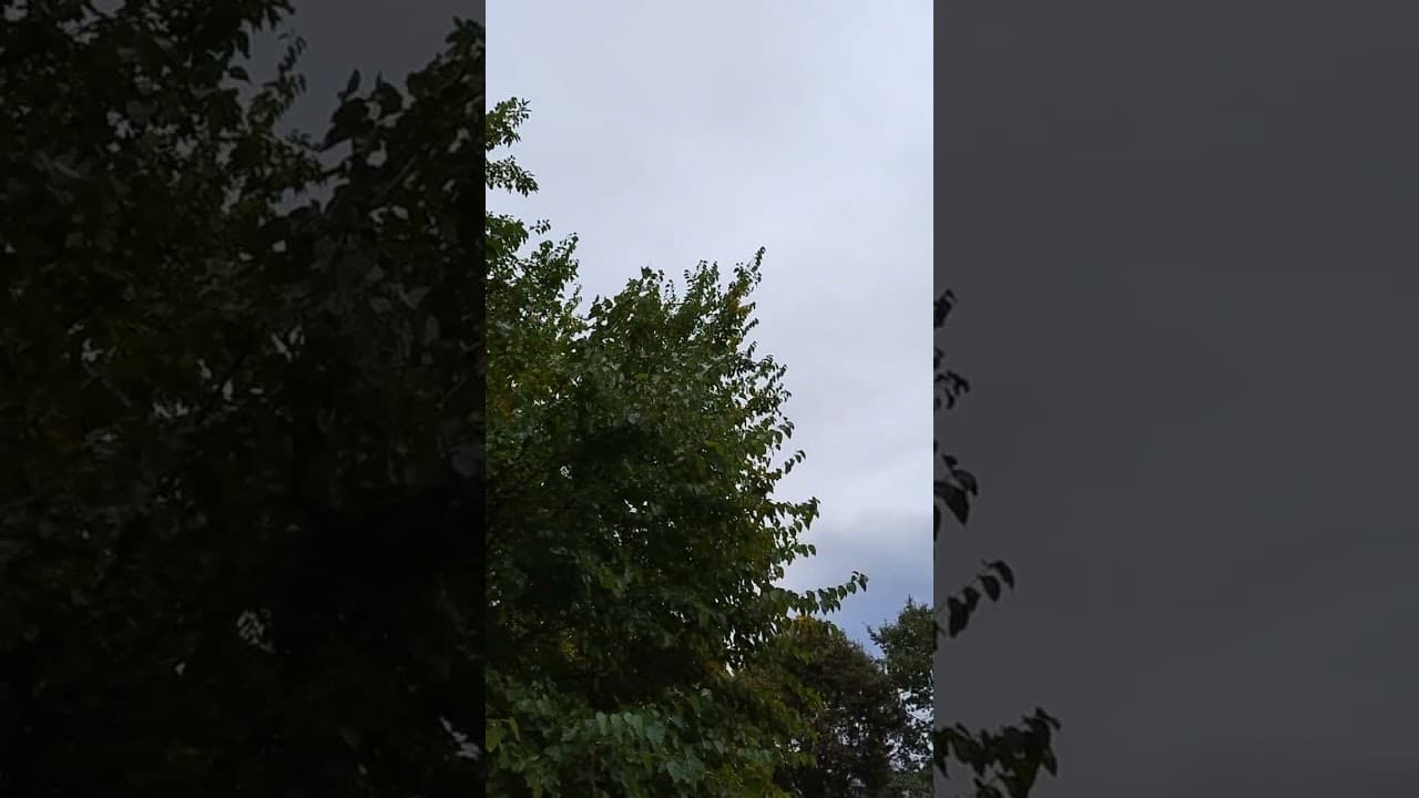 , Motorola Moto G84 5G review, TechWar.gr