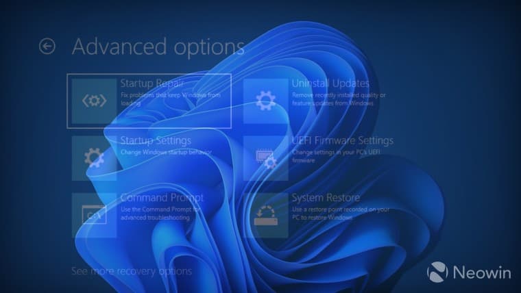 Windows recovery on the Windows 11 bloom