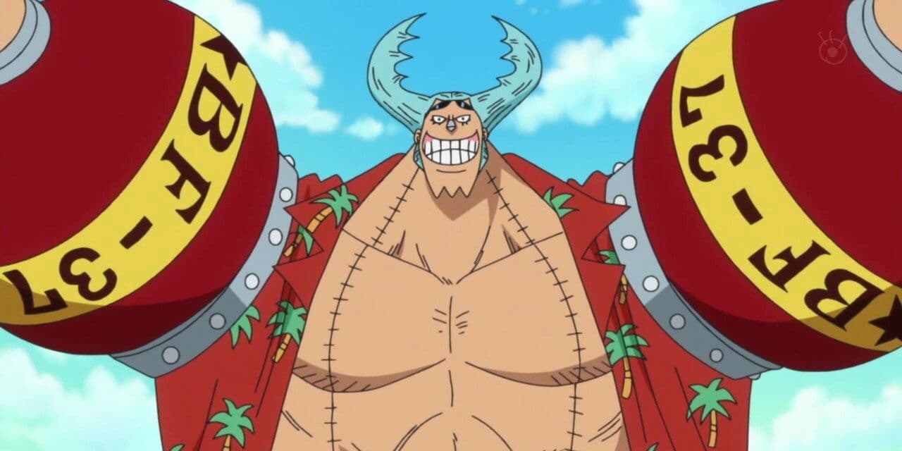 Franky με μαλλιά σκαθαριού στο One Piece anime