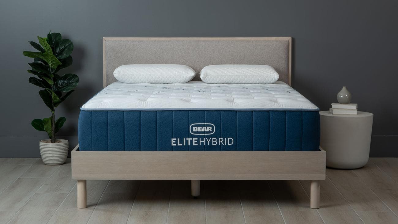 Image shows the Bear Elite Hybrid mattress on a beige bedframe placed next to a tall house plant