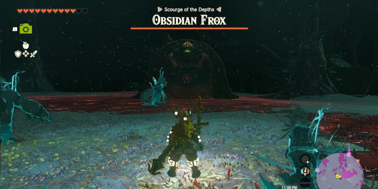 Zelda-Tears-Of-The-Kingdom-How-To-Defeat-A-Frox-03