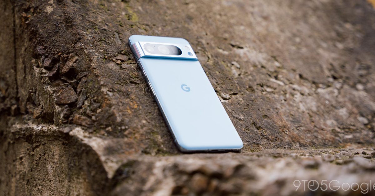 Η Google προσφέρει το Pixel 8 Pro «Pawtraits Kit» σε καταφύγια ζώων
