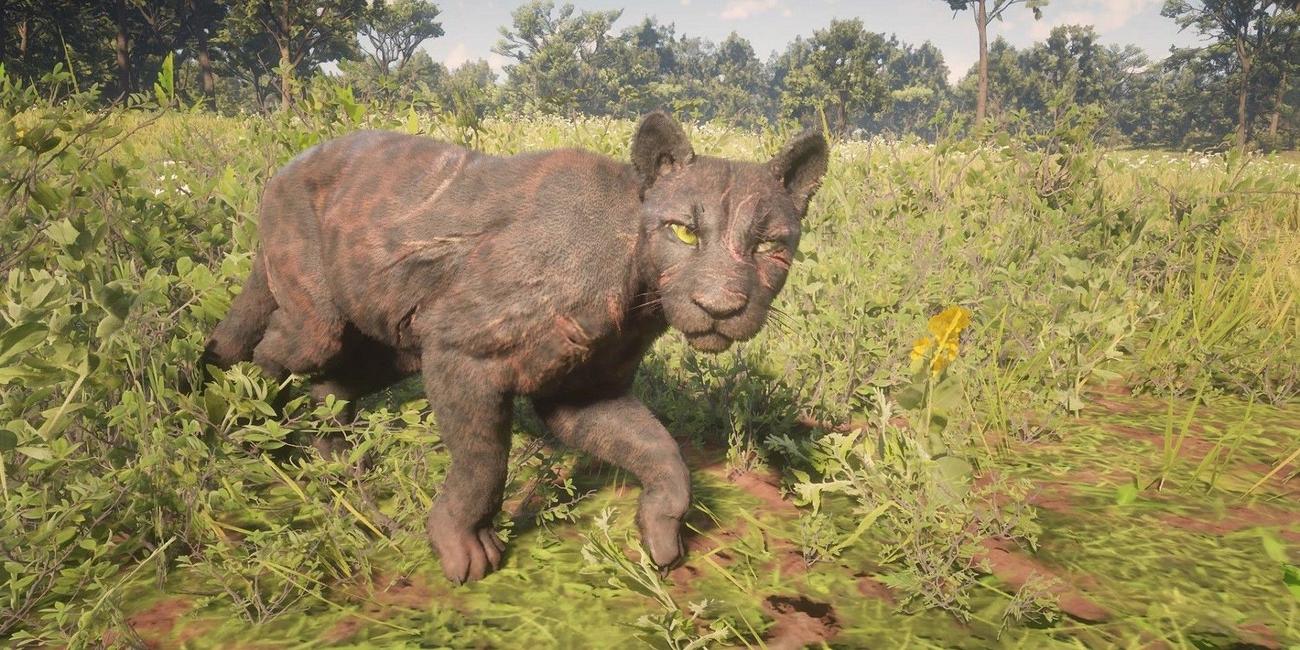 Ο παίκτης του Red Dead Redemption 2 ανακαλύπτει έναν μοναδικό τρόπο για να σκοτώσει τον Πάνθηρα