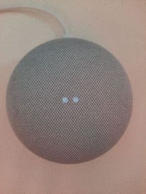 Το Google Home Mini ενημερώνει τούβλα συσκευές για ορισμένους χρήστες, Το Google Home Mini ενημερώνει τούβλα συσκευές για ορισμένους χρήστες, TechWar.GR
