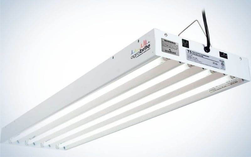 Τα καλύτερα φυτά του 2024, Τα καλύτερα φυτά του 2024, TechWar.GR