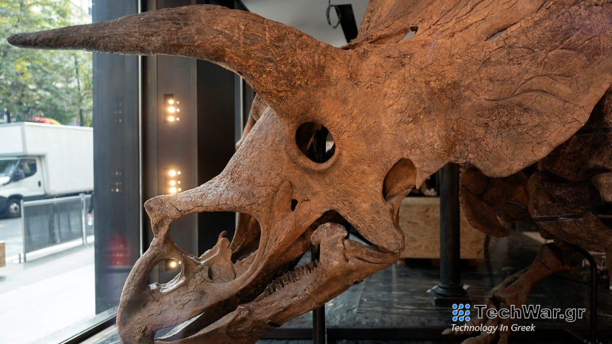 Sexing Dinos: Οι παλαιοντολόγοι αναζητούν απολιθωμένες ορμόνες
