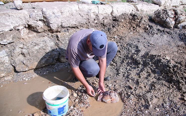 Αρχαιολόγοι ανακάλυψαν κεφάλια από αγάλματα θεών της Αρχαίας Ελλάδας / FOXreport.gr, Αρχαιολόγοι ανακάλυψαν κεφάλια από αγάλματα θεών της Αρχαίας Ελλάδας, TechWar.gr