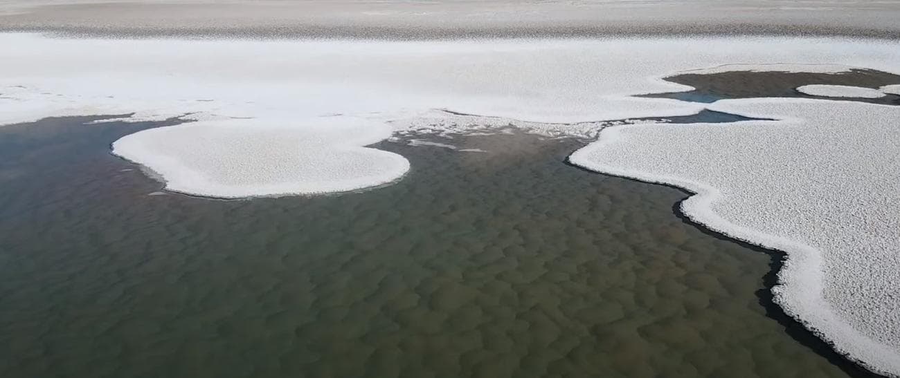 Οι επιστήμονες ανακαλύπτουν άγνωστο προϊστορικό κόσμο στη Γη / FOXreport.gr, Οι επιστήμονες ανακαλύπτουν άγνωστο προϊστορικό κόσμο στη Γη, TechWar.gr