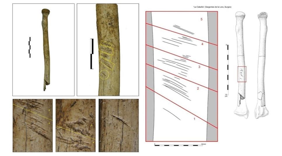 Μυστήριο με παράξενα τεμαχισμένα πτώματα χωρίς δέρμα που θάφτηκαν πριν από 6.000 χρόνια, Μυστήριο με παράξενα τεμαχισμένα πτώματα χωρίς δέρμα που θάφτηκαν πριν από 6.000 χρόνια, TechWar.gr