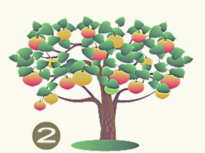 Το δέντρο που θα επιλέξετε αποκαλύπτει τα κυρίαρχα χαρακτηριστικά σας / FOXreport.gr, Το δέντρο που θα επιλέξετε αποκαλύπτει τα κυρίαρχα χαρακτηριστικά σας , TechWar.GR