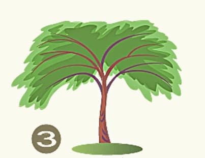 Το δέντρο που θα επιλέξετε αποκαλύπτει τα κυρίαρχα χαρακτηριστικά σας / FOXreport.gr, Το δέντρο που θα επιλέξετε αποκαλύπτει τα κυρίαρχα χαρακτηριστικά σας , TechWar.GR