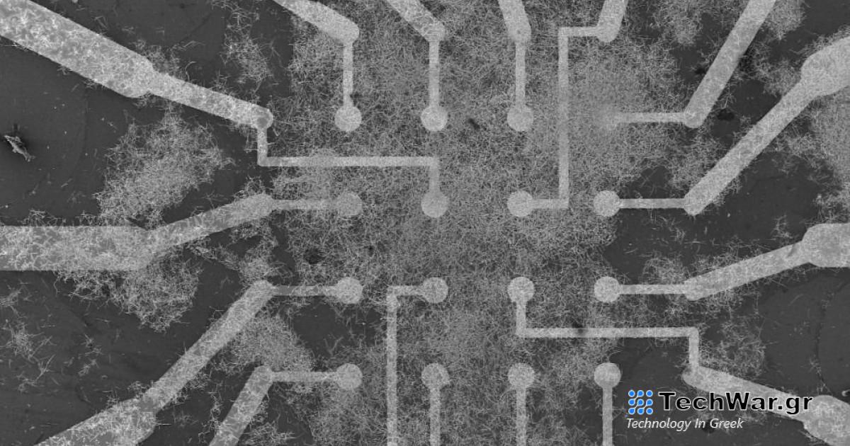 Ερευνητές δημιούργησαν «τεχνητό εγκέφαλο» από νανοκαλώδια αργύρου