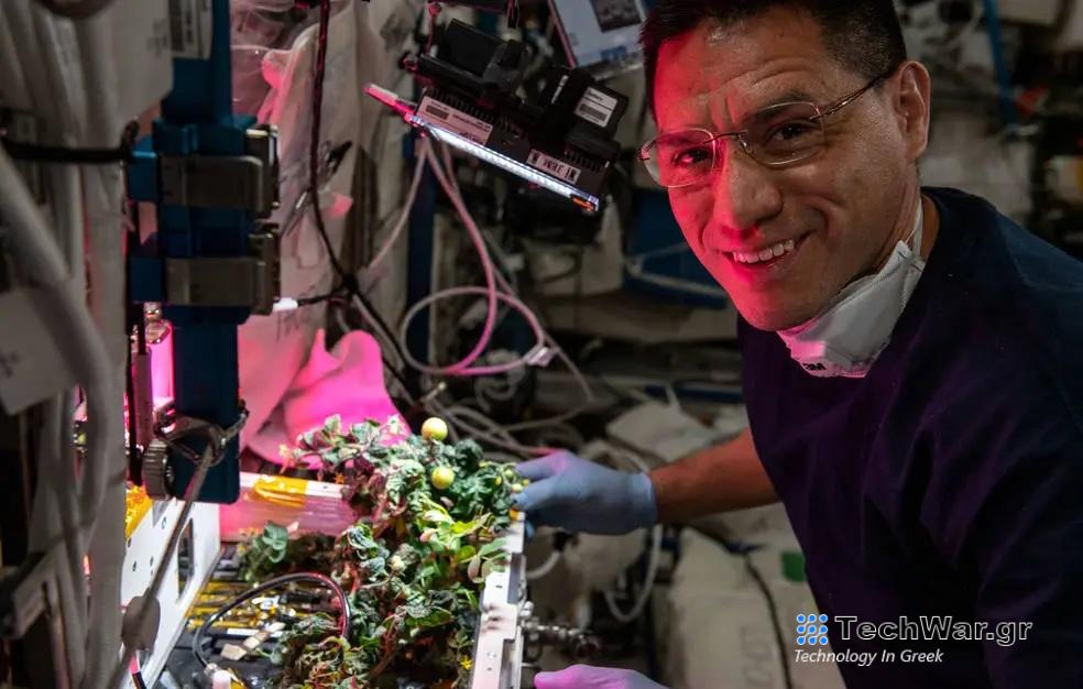Η NASA αποκάλυψε τις ντομάτες που είχαν χαθεί στο διάστημα για 8 μήνες / FOXreport.gr
