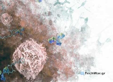 Καρέ – καρέ πώς ο καρκίνος αχρηστεύει το ανοσοποιητικό σύστημα