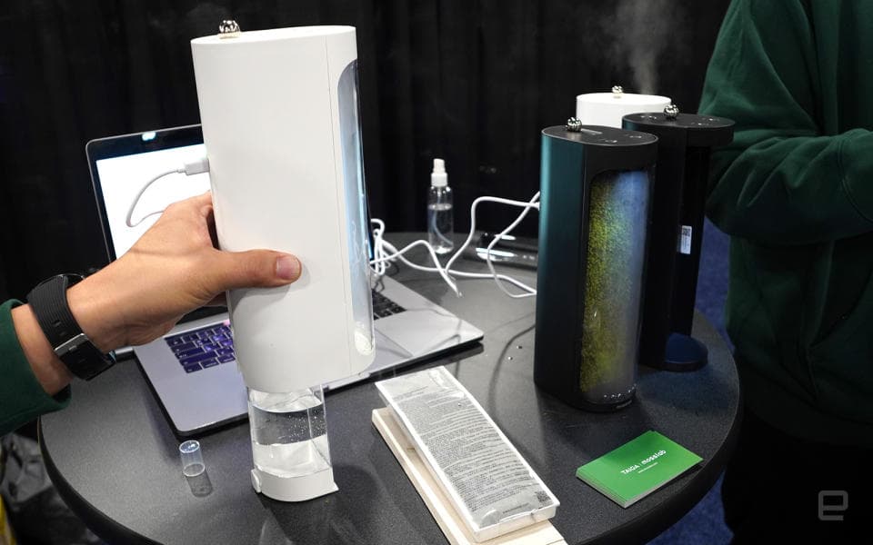 Αυτό το terrarium από βρύα λειτουργεί και ως καθαριστής αέρα και υγραντήρας, Αυτό το terrarium από βρύα λειτουργεί και ως καθαριστής αέρα και υγραντήρας, TechWar.GR