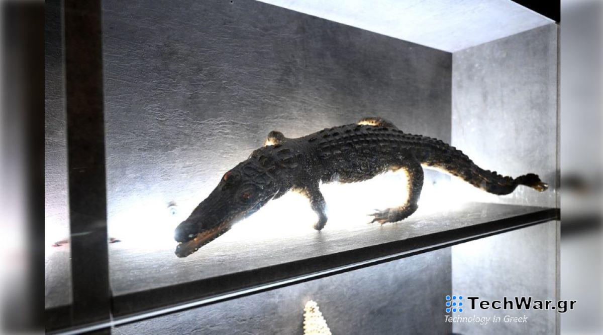 Escape Room με γρίφους για το περιβάλλον – Στηρίζεται σε πραγματικά δεδομένα / FOXreport.gr