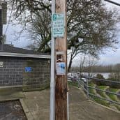 This is the 2024 Phone to Buy - Galaxy S24 Ultra Camera Sample10 e1706287074669 - TechWar.GR