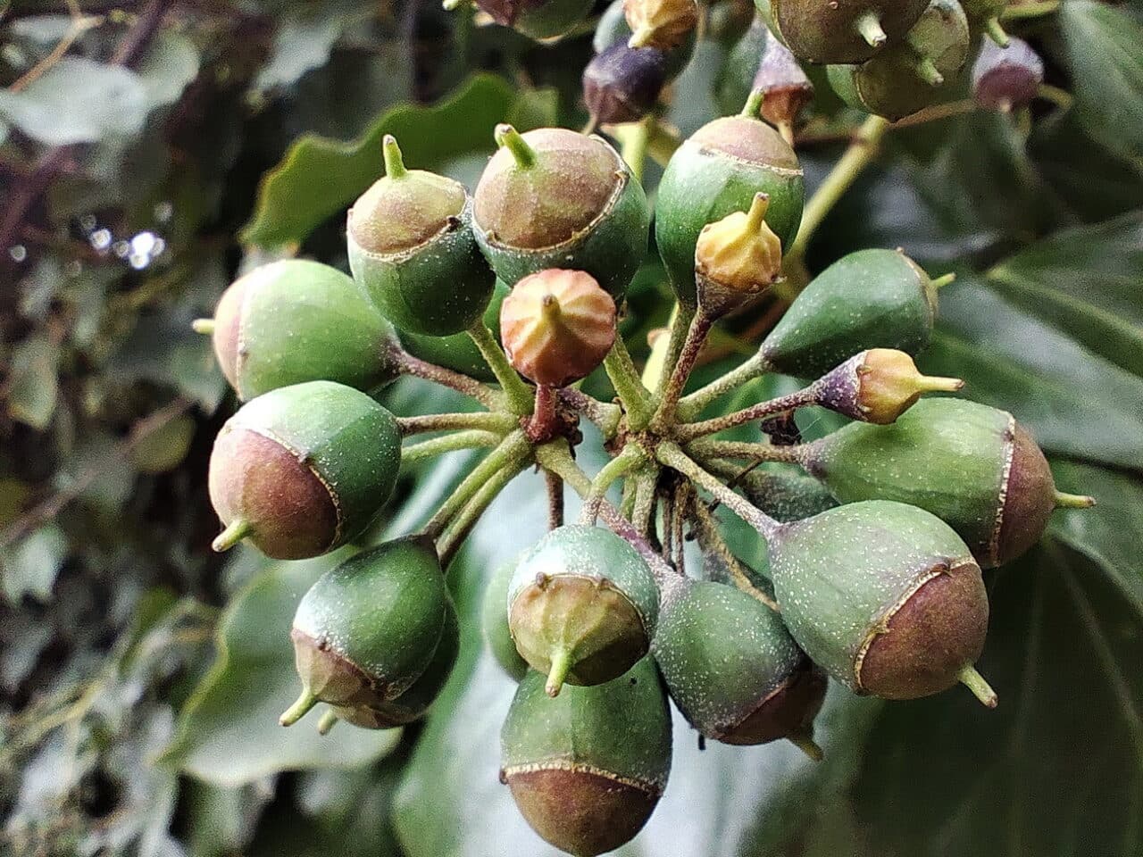 Ποιότητα και εξοπλισμός σε ένα μοναδικό προσιτό πακέτο - IMG 20240120 095308 - TechWar.GR