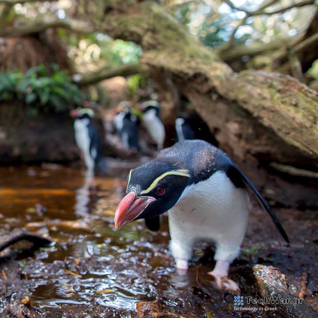 Viasat Nature - Highlights, Φεβρουάριος 2024 - Digitaltvinfo.gr
