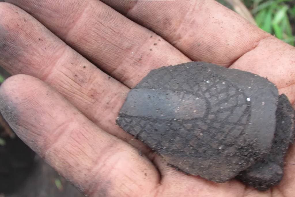 Αρχαιολογικός θησαυρός με δεκάδες τεχνουργήματα και σκελετούς βρέθηκε σε παραλιακή πόλη, Αρχαιολογικός θησαυρός με δεκάδες τεχνουργήματα και σκελετούς βρέθηκε σε παραλιακή πόλη, TechWar.GR