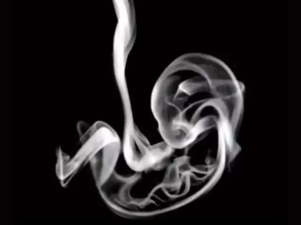 Τεστ προσωπικότητας οπτική ψευδαίσθηση καπνός έμβρυο