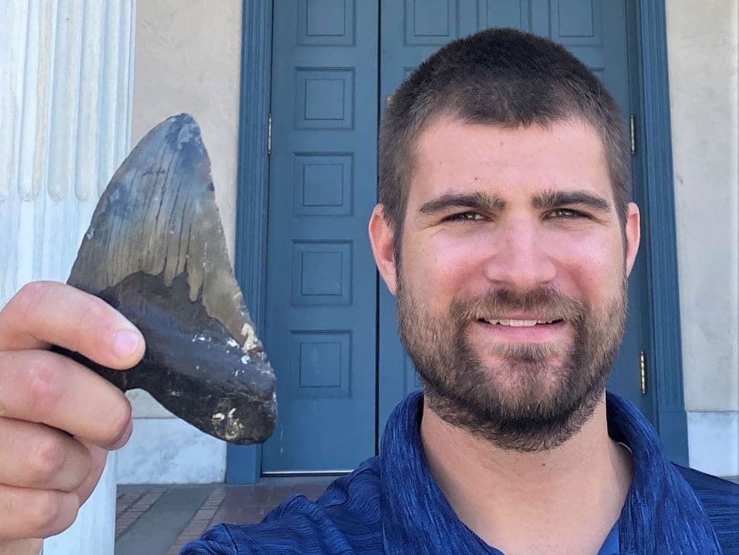 Μελέτη ανατρέπει όσα γνωρίζαμε για το πλάσμα που εξαφανίστηκε πριν από 3,6 εκατομμύρια χρόνια 1 Μελέτη ανατρέπει όσα γνωρίζαμε για το πλάσμα που εξαφανίστηκε πριν από 3,6 εκατομμύρια χρόνια - sternes megalodon tooth pic web - TechWar.GR