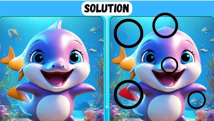 Μπορείτε να βρείτε τις 5 διαφορές στις εικόνες με το δελφίνι σε 13 δευτερόλεπτα; / FOXreport.gr, Μπορείτε να βρείτε τις 5 διαφορές στις εικόνες με το δελφίνι σε 13 δευτερόλεπτα;, TechWar.GR