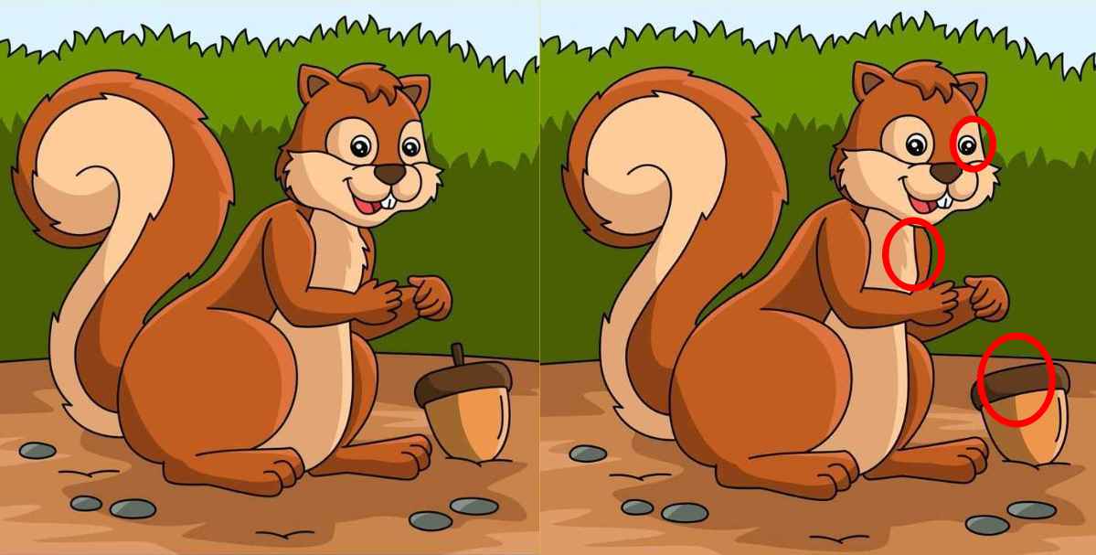 Τεστ παρατηρητικότητας Βρες τις διαφορές σκιουράκι