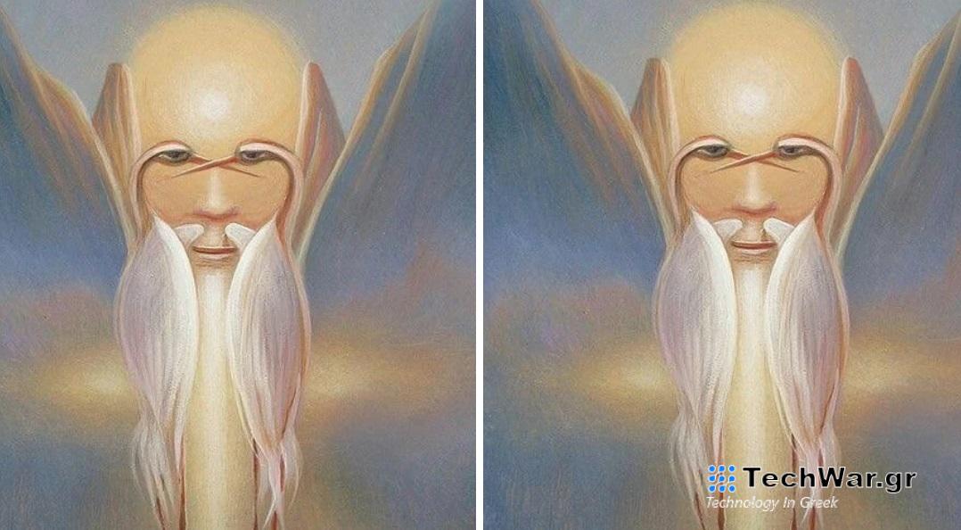 Τεστ προσωπικότητας οπτική ψευδαίσθηση πουλιά βουνά άνδρας με μούσι