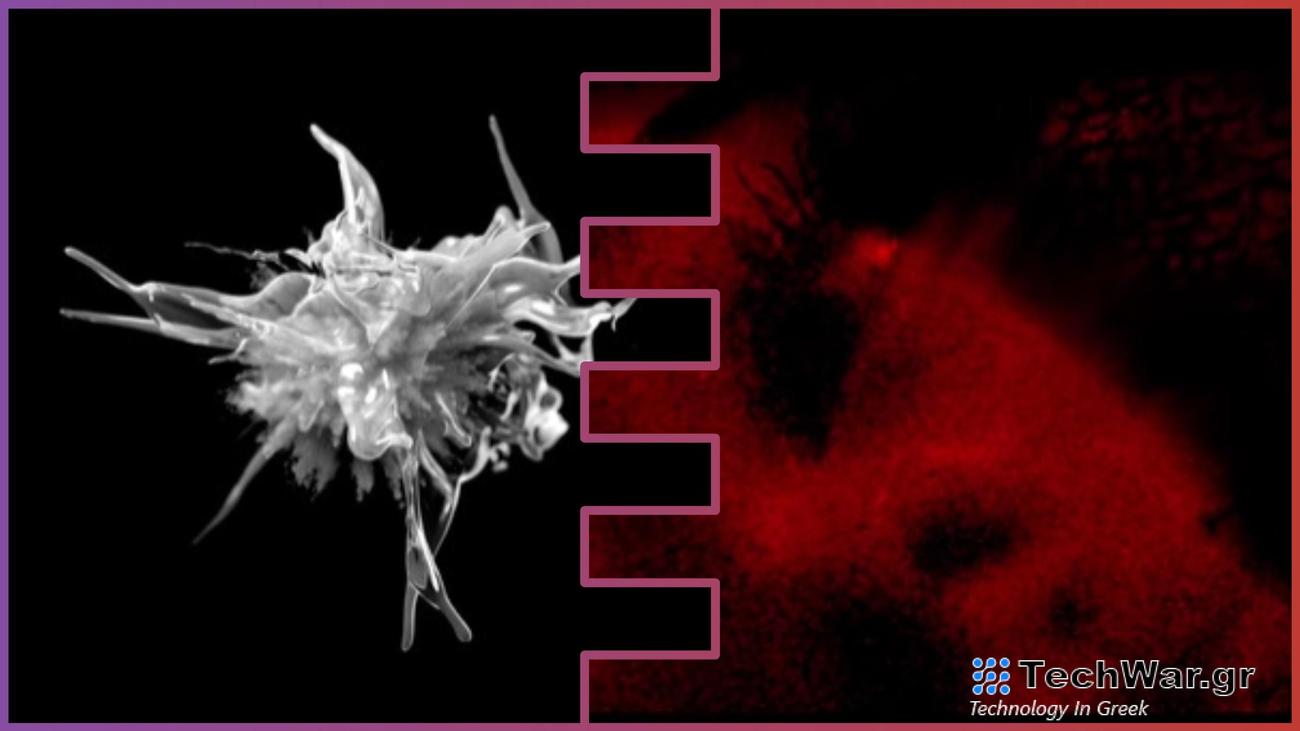 Δύο ακόμη horror τίτλους ετοιμάζει ο δημιουργός του Immortality