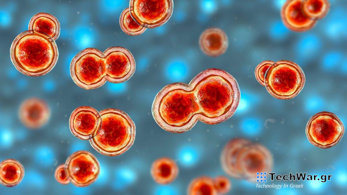 Μια σπάνια αλλά θανατηφόρα μυκητιασική λοίμωξη εμφανίζεται σε περισσότερες πολιτείες
