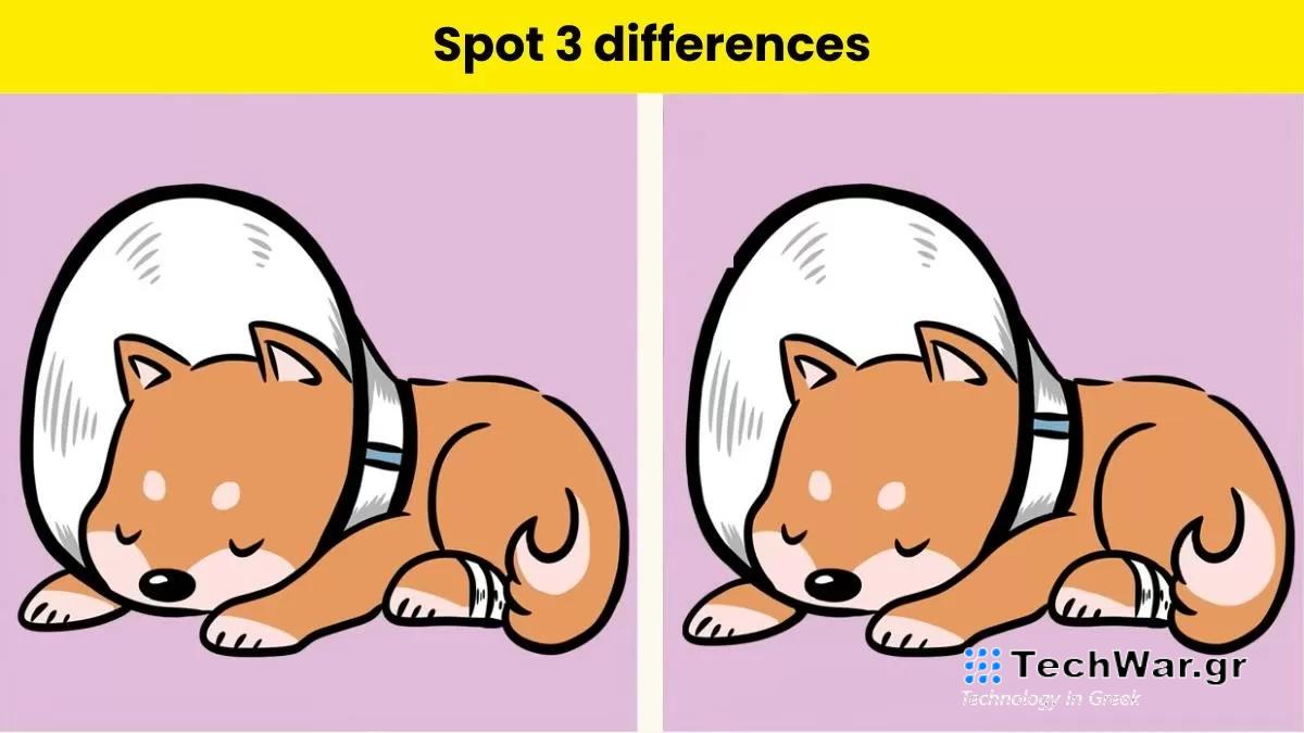 Τεστ παρατηρητικότητας διαφορές σκύλος