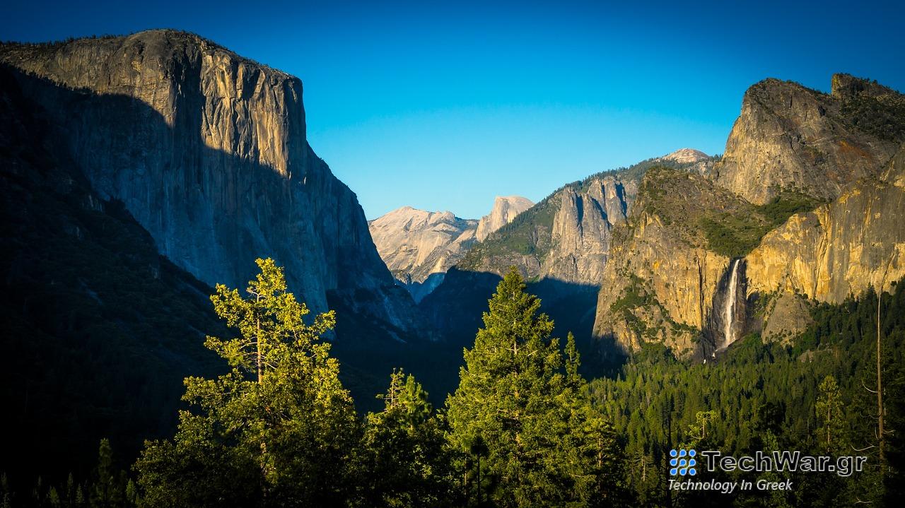Νέα Υόρκη: Ανακαλύφθηκε το αρχαιότερο δάσος στον κόσμο – Το είχαν δει και οι δεινόσαυροι
