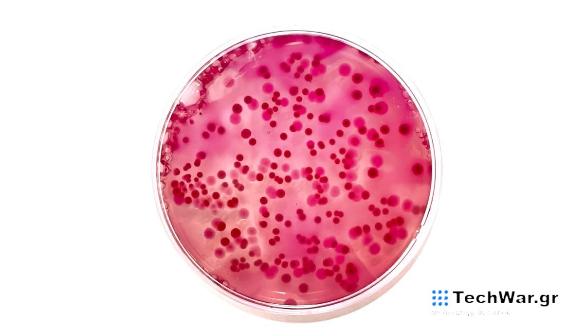 Οι επιστήμονες ανακαλύπτουν δεκάδες άγνωστα είδη βακτηρίων σε ασθενείς σε νοσοκομεία