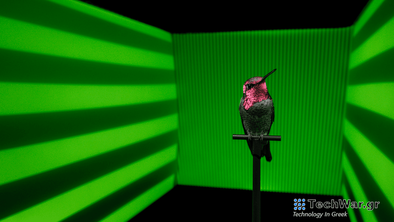 A pink hummingbird sits on a perch inside of a tunnel. Green and black stripes are projected on the walls of the tunnel.
