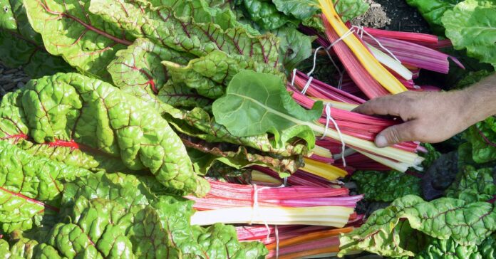 Τα οφέλη των 10 τρισεκατομμυρίων δολαρίων από την αναθεώρηση του συστήματος τροφίμων μας
