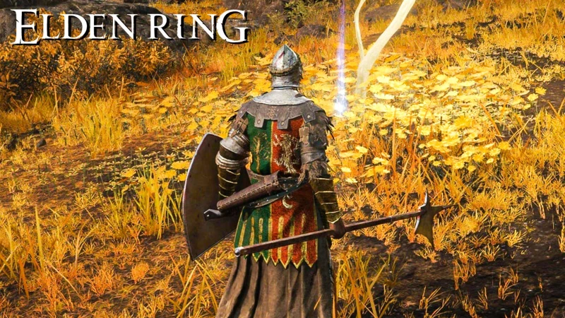 Το Elden Ring έχει ένα ακόμη μυστικό!