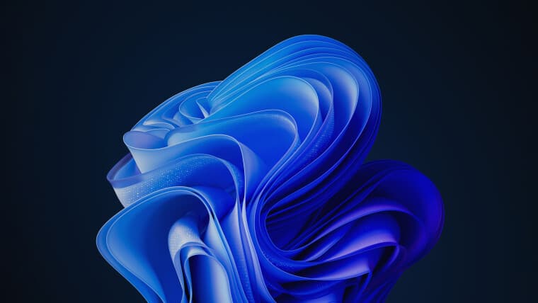 Η προεπιλεγμένη ταπετσαρία των Windows 11 365 Bloom