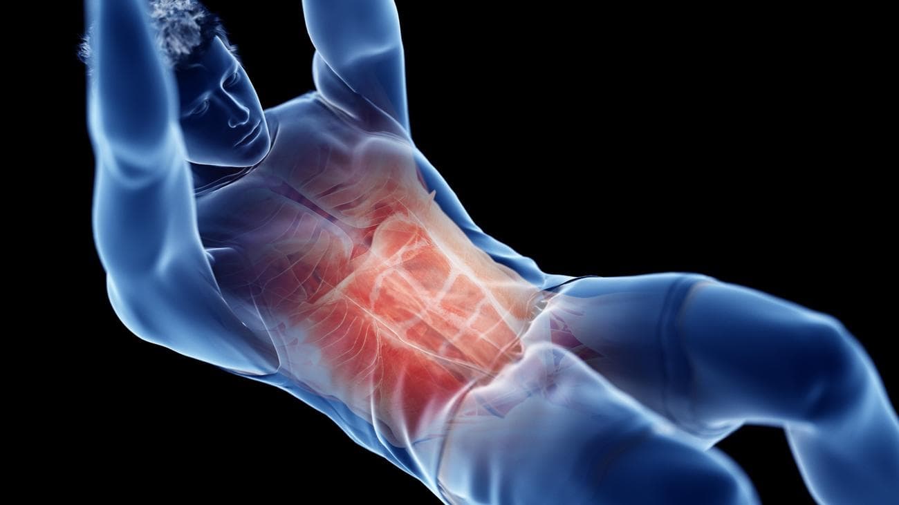 Απεικόνιση των μυών του πυρήνα και της ανατομίας σε σκούρο φόντο με τους μύες σε κόκκινο