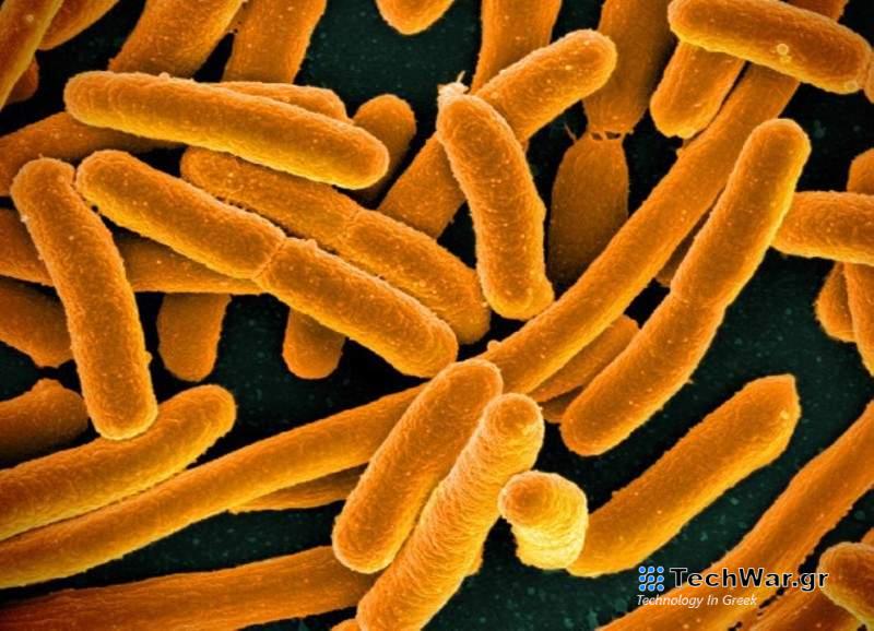 E.coli: Εντοπίστηκε νέο «υπερανθεκτικό» στέλεχος του βακτηρίου