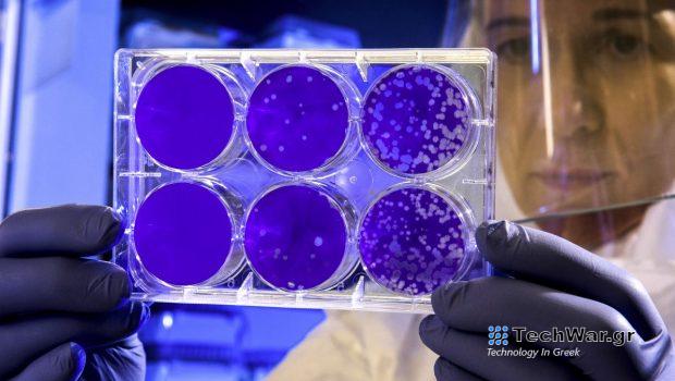 Klebsiella pneumoniae: Προειδοποίηση για θανατηφόρο ανθεκτικό βακτήριο που εξαπλώνεται στην Ευρώπη